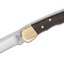 มีดพับ Buck110 Folding Hunter 3.75" Plain Blade, Finger Grooved, Ebony Wood Handles, Leather Sheath - 2538