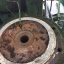 Overhaul Screw Air Compressor (SULLAIR)