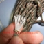 PARACORD เชือกอเนกประสงค์ ยาว30เมตร แกนในเชือก9เส้น
