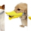 ที่ครอบปากสุนัข ป้องกันกัด รูปปากเป็ด ที่ครอบปากเป็ด Duckbill