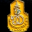 เข็มกลัด พระราชทาน ร.10 ปี 2555