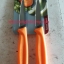 VICTORINOX PARING KNIFE SET 8cm สีส้ม ใบเรียบ แพ็คคู่ (2เล่ม) (6.7606.L119B)