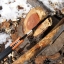 มีดใบตาย/มีดยังชีพ Gerber Bear Grylls Ultimate Pro มีนกหวีด+ที่ลับมีด+ที่จุดไฟ ของแท้ ของใหม่