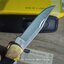 มีดพับ Buck110 Folding Hunter 3.75" Plain Blade, Finger Grooved, Ebony Wood Handles, Leather Sheath - 2538