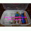 กล่องยาฉุกเฉิน Emergency Box 22 รายการ