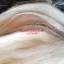 แส้ขนจามรีแท้ ด้ามหนัง​ ใหม่เก่าเก็บ ไม่ผ่านการใช้ (3) ขนสีขาว หายาก