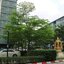 ขายคอนโด Supalai City Resort Ratchada - Huaykwang (ศุภาลัย ซิตี้ รีสอร์ท-รัชดาห้วยขวาง ) 2 ห้องนอน 1 ห้องน้ำ 1 ห้องครัว