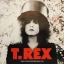 T. Rex - The Slider