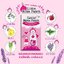 แผ่นแปะหอมแดง Little nose patch สติ๊กเกอร์หัวหอม(รุ่นใหม่ 30 ชิ้น)