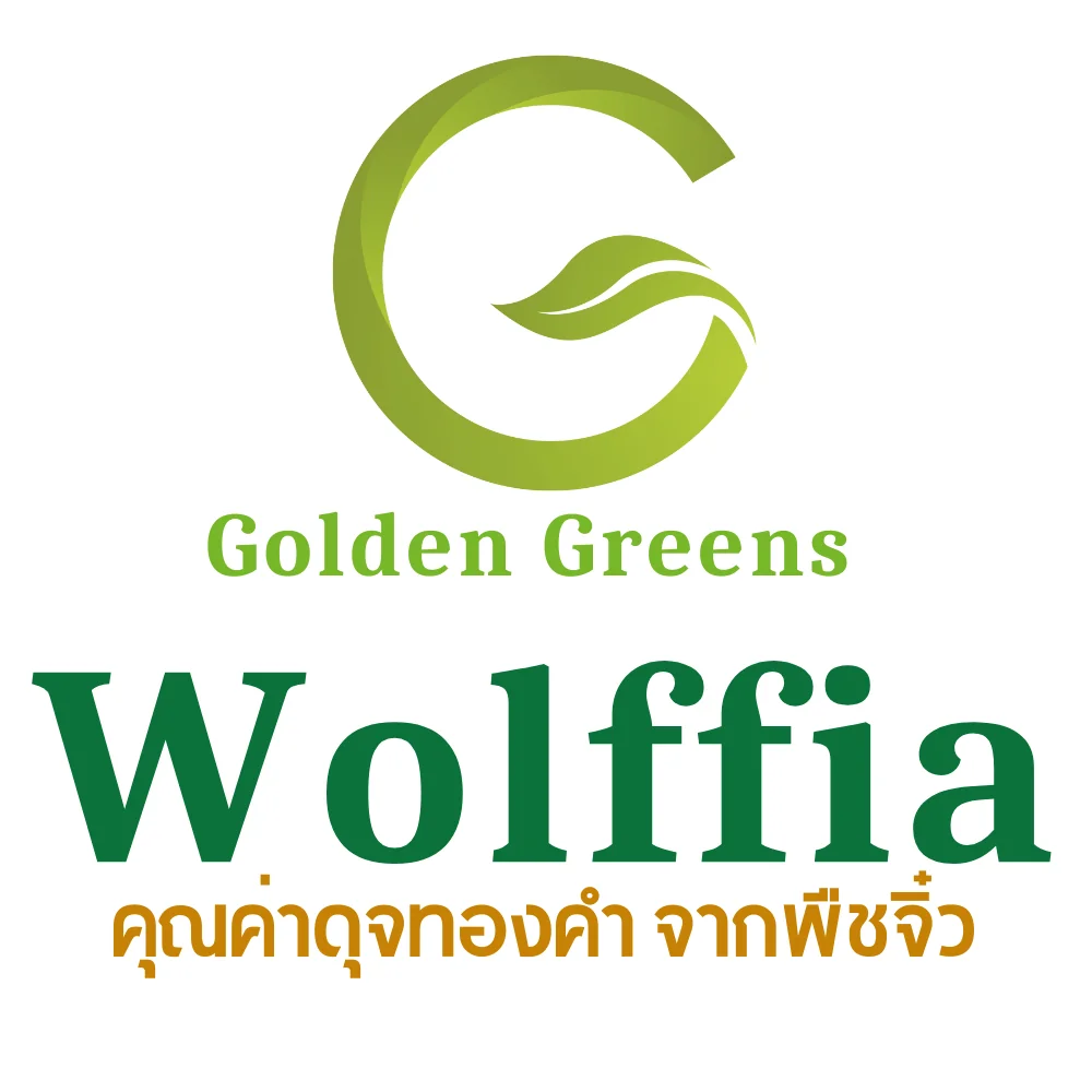 G-Wolffia ผำแห้ง ไข่ผำอบแห้ง (Dried Wolffias) ขนาด 200ml (50 กรัม) G-Wolffia ผำแห้ง ไข่ผำอบแห้ง (Dried Wolffias) ขนาด 200ml (50 กรัม)