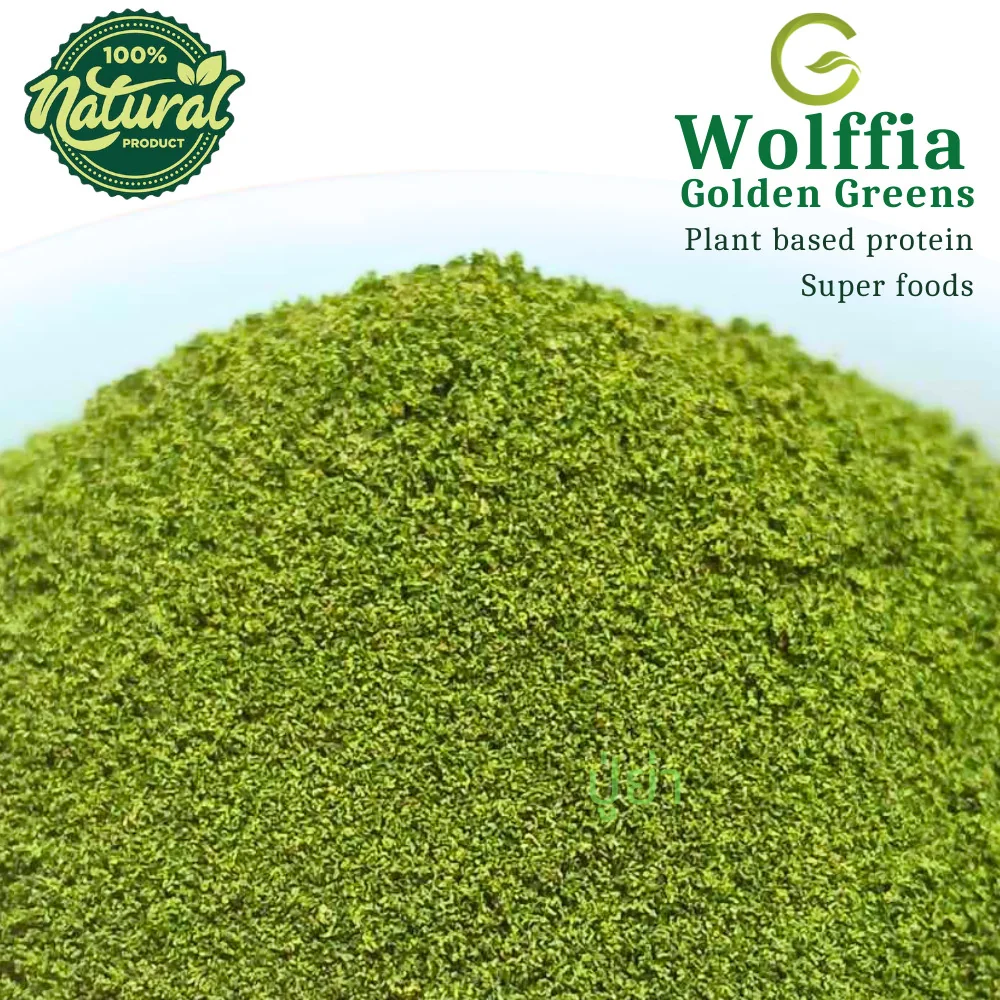G-Wolffia ผำแห้ง ไข่ผำอบแห้ง (Dried Wolffias) ขนาด 200ml (50 กรัม) G-Wolffia ผำแห้ง ไข่ผำอบแห้ง (Dried Wolffias) ขนาด 200ml (50 กรัม)