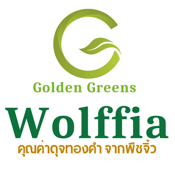 G-Wolffia ผำแห้ง ไข่ผำอบแห้ง (Dried Wolffias) ขนาด 200ml (50 กรัม) image 7 G-Wolffia ผำแห้ง ไข่ผำอบแห้ง (Dried Wolffias) ขนาด 200ml (50 กรัม) image 7