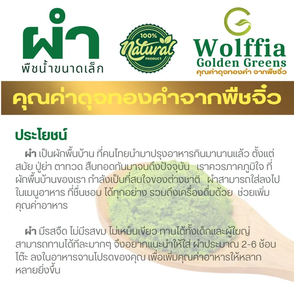 G-Wolffia ผำแห้ง ไข่ผำอบแห้ง (Dried Wolffias) ขนาด 200ml (50 กรัม) image 3 G-Wolffia ผำแห้ง ไข่ผำอบแห้ง (Dried Wolffias) ขนาด 200ml (50 กรัม) image 3